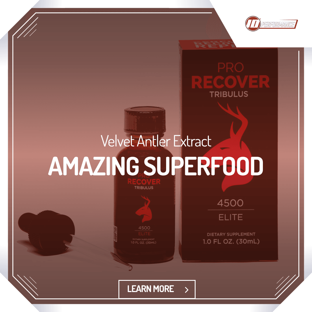 Deer Antler Velvet has been consumed for over 2,000 years - tenPerformance