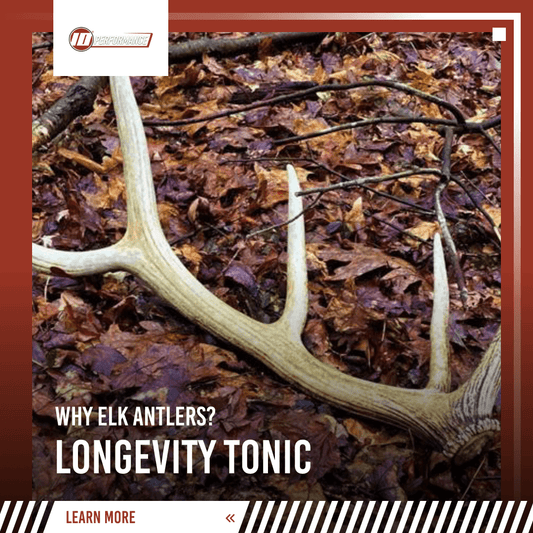 "The Annual Ritual: Elk Antler Shedding and its Remarkable Health Benefits for Humans" - tenPerformance