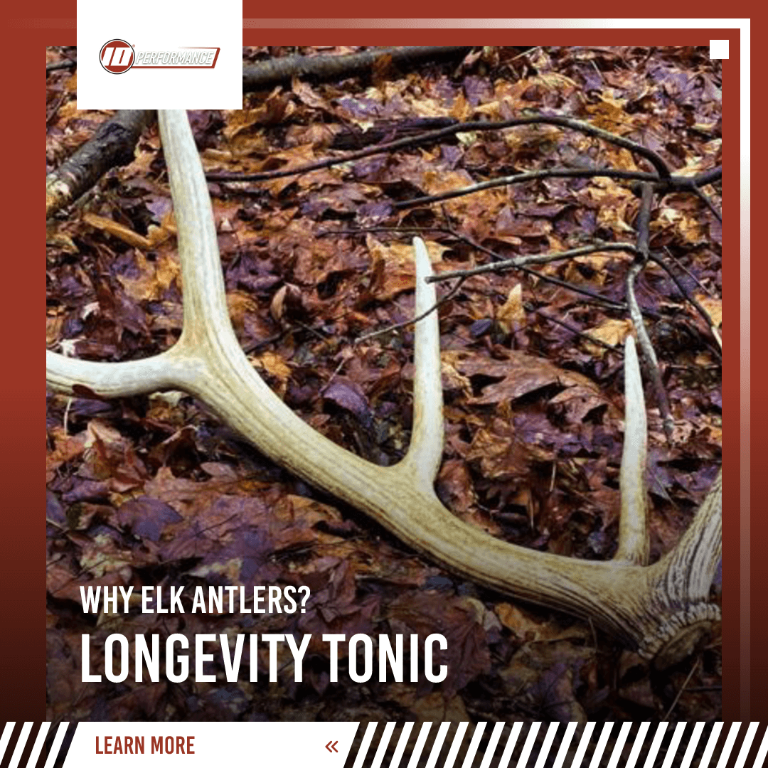 Elk Antler Shedding and healing properties for HEALTH tenPerformance