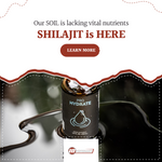 Nourishing Your Body and the Earth: The Role of Shilajit in a World of Depleted Soils